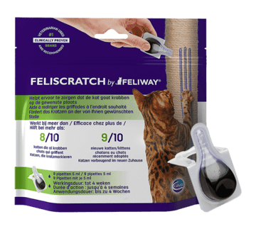 How Long Does Feliway Take To Work?