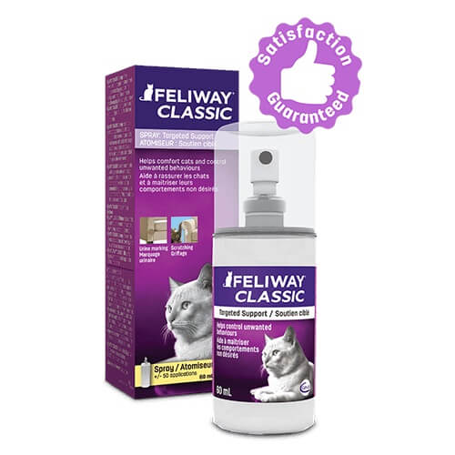 feliway spray for cats