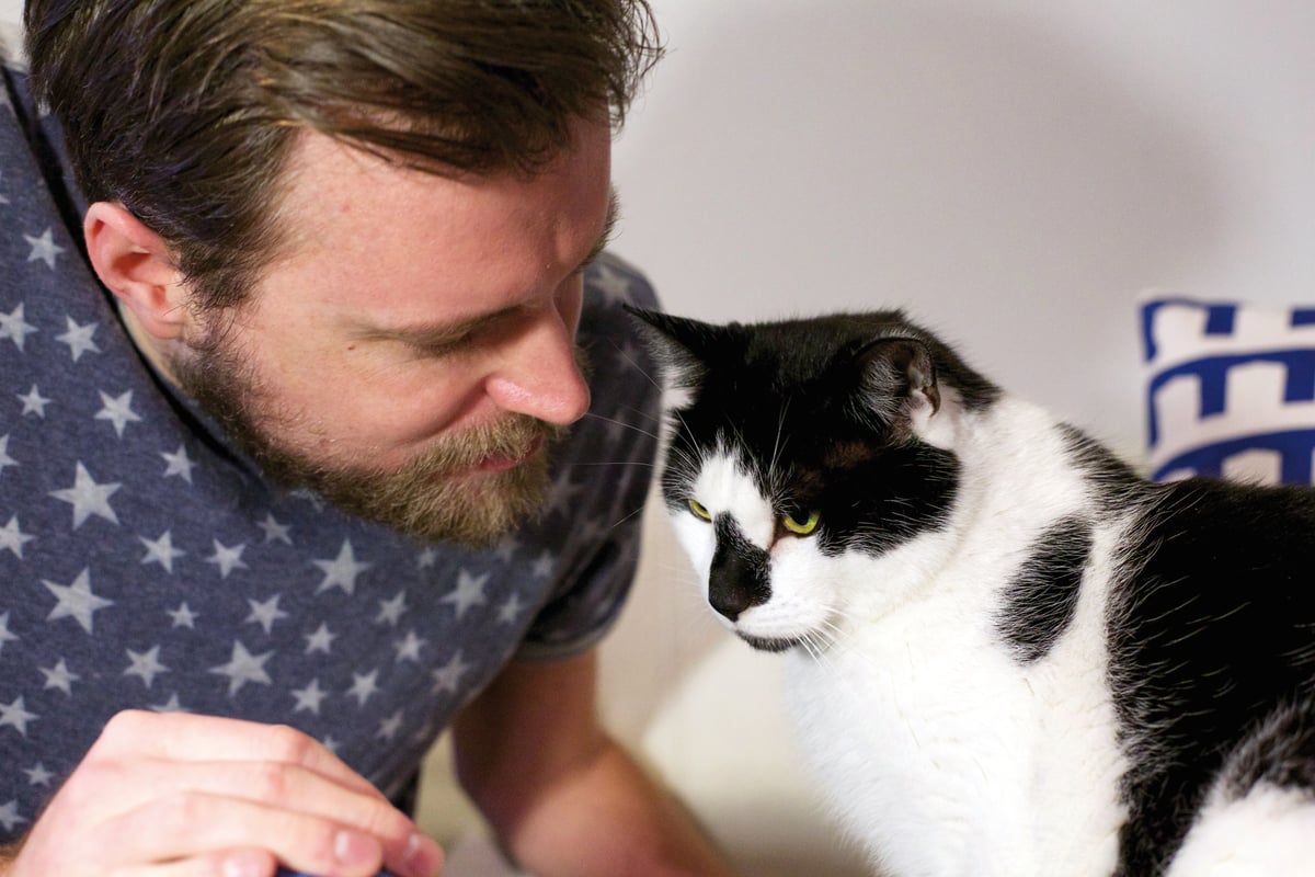 welche Feliway Produkte