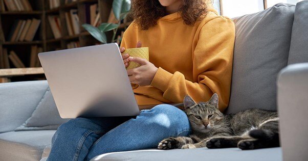 Gato deitado ao lado de mulher no sofá