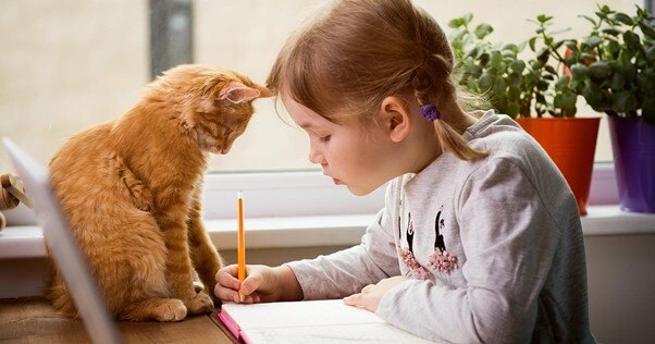 Gato sentado com uma garota enquanto ela escreve em um livro.