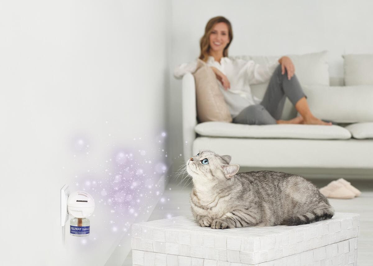 FELIWAY Optimum est une aide pour votre félin et pour votre famille