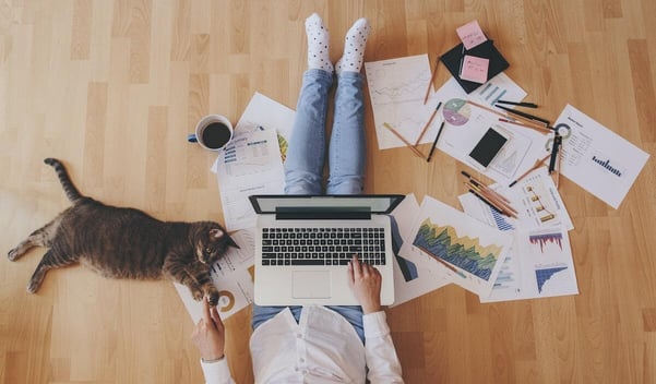 Essere in smart working con un gatto in casa