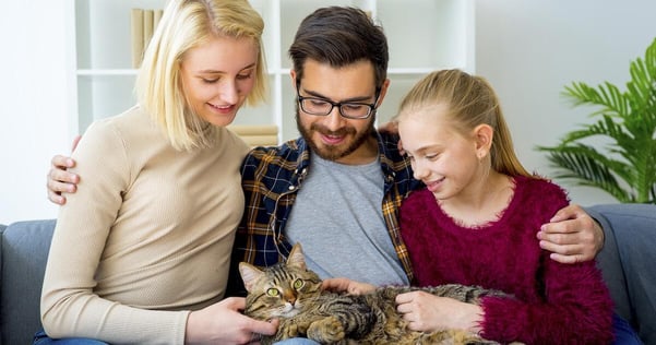 Come creare un legame con il proprio gatto con FELIWAY Friends