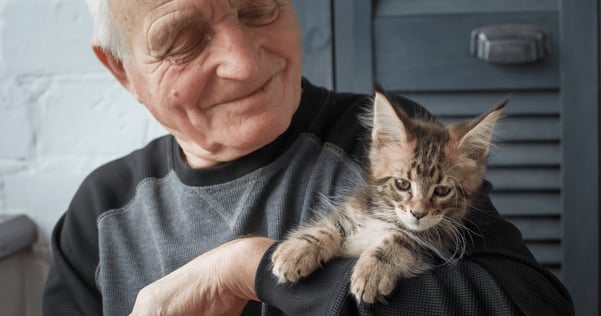 kitten and elderly man