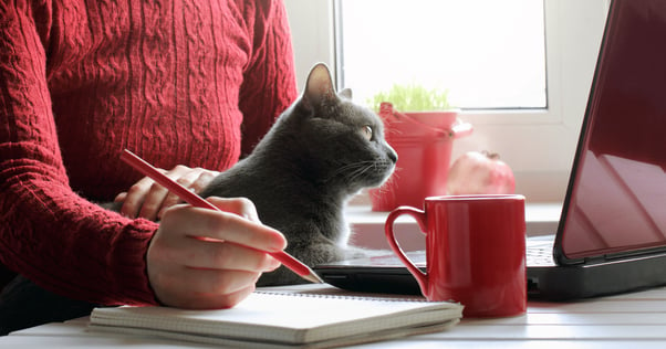 cat sitting in moms lap while she works