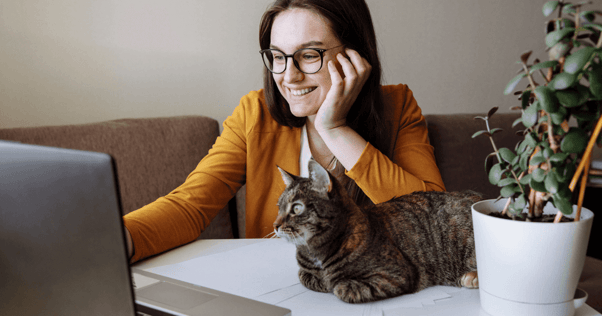 finding the cat that fits your lifestyle