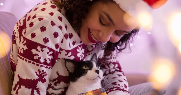 chat avec son humaine à Noël