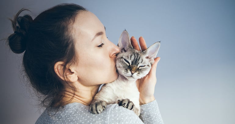 i gatti fanno le fusa