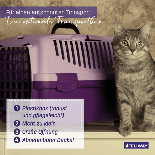 Katze mit Transportbox und Transporttipps