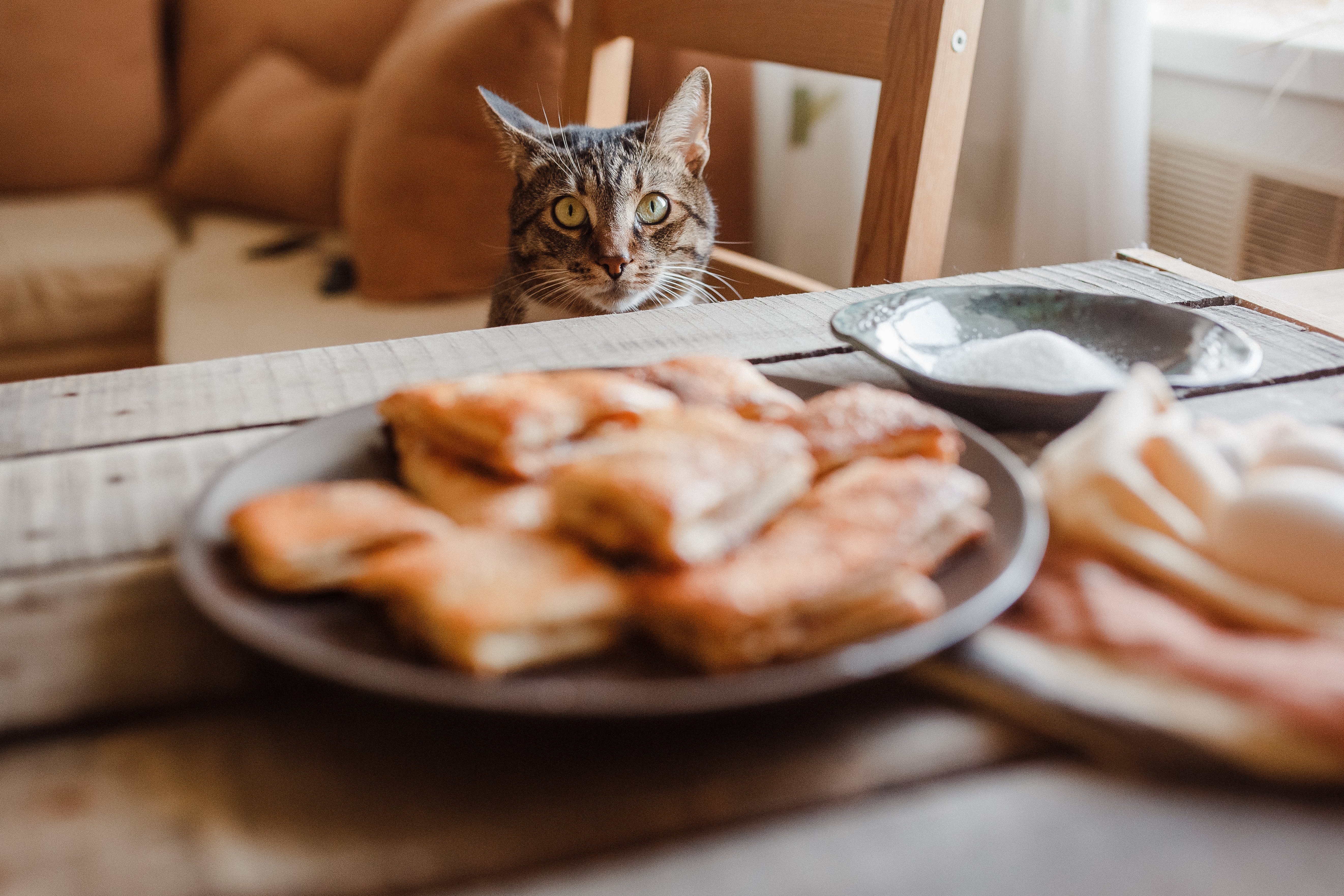 Instagram Advent Calendar - Day 22 - CL 221117-RAW