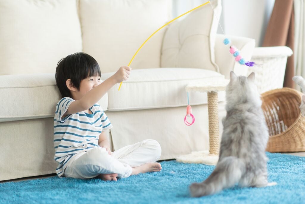 Kisgyerek játszik egy szürke cicával