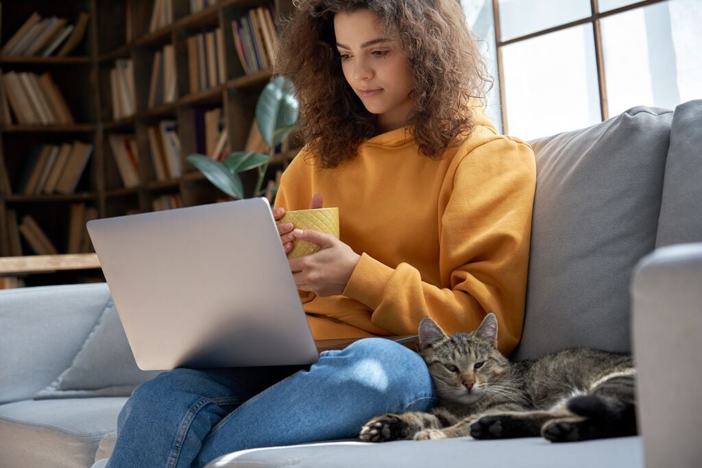 Laptopozó gazdi mellett fekvő cica a kanapén