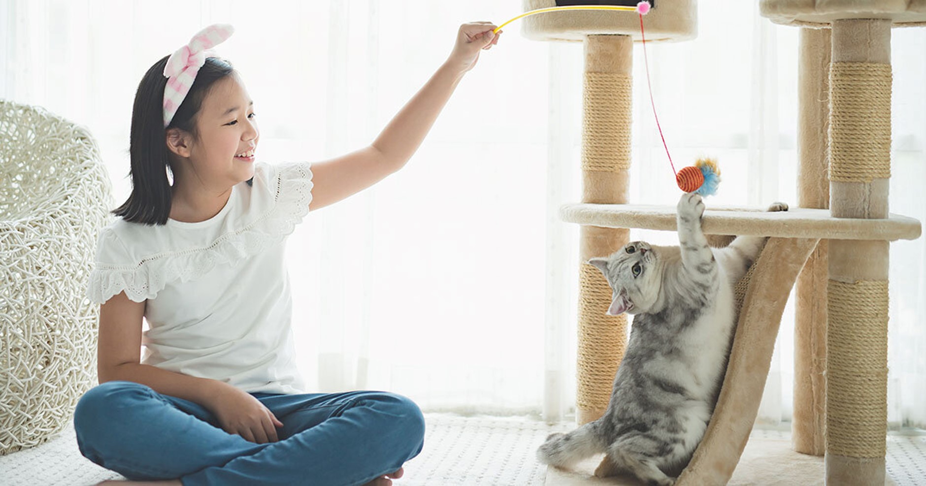 Menina usando uma vara de pescar para atrair um gato e fazê-lo subir em uma torre de gatos.