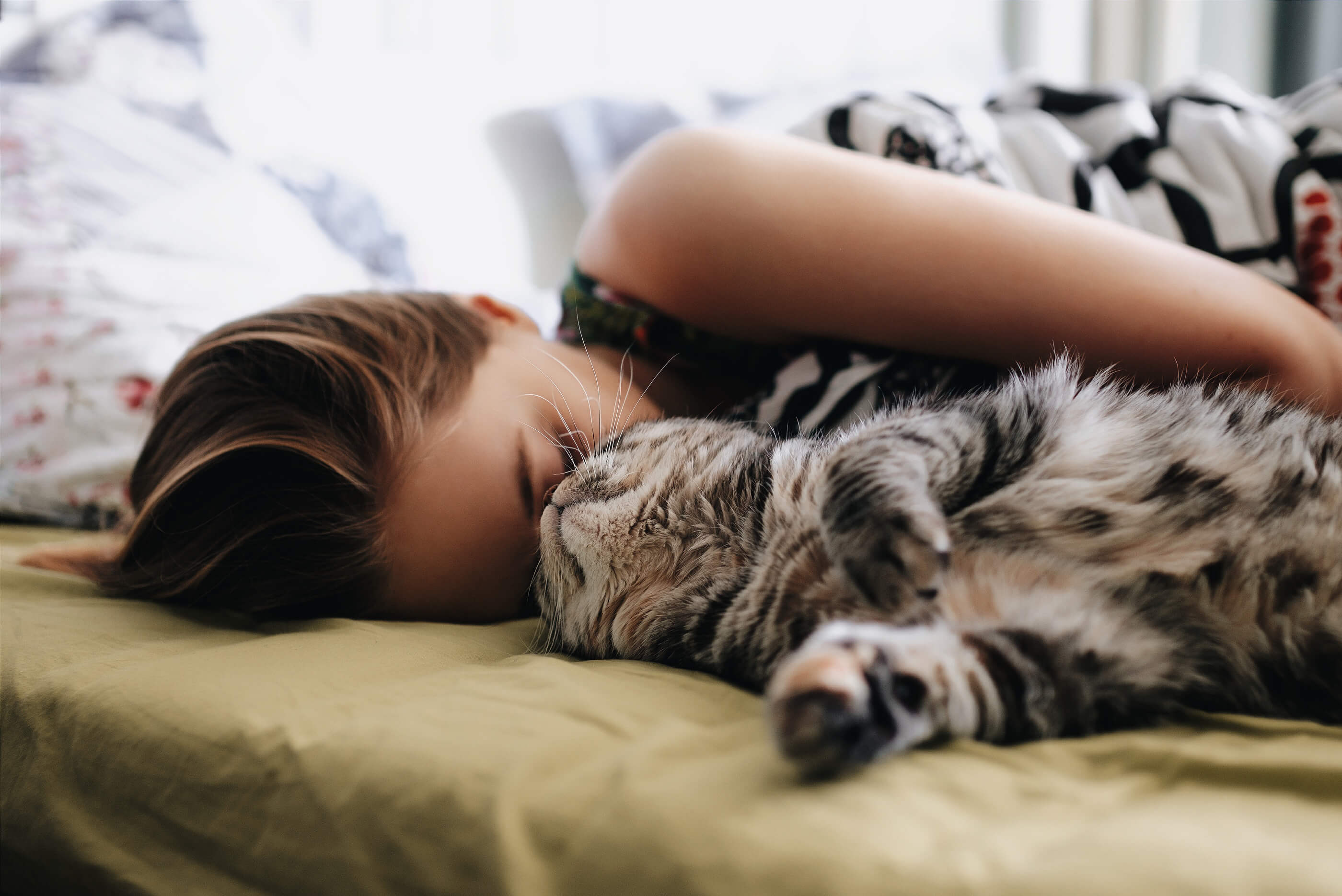 cat and mom napping together