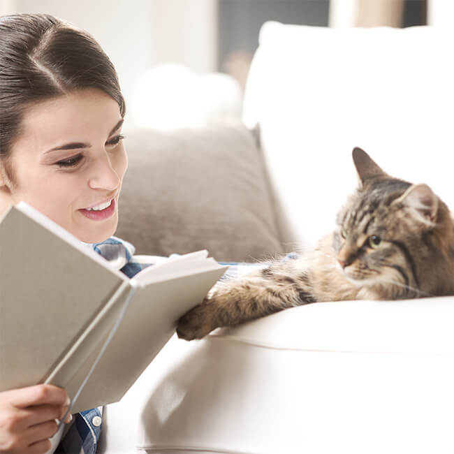 Frau liest und streichelt Katze