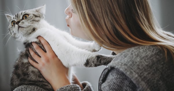 Katt ser rädd ut och lutar sig ifrån kvinnan som försöker få katten när sig för att kela