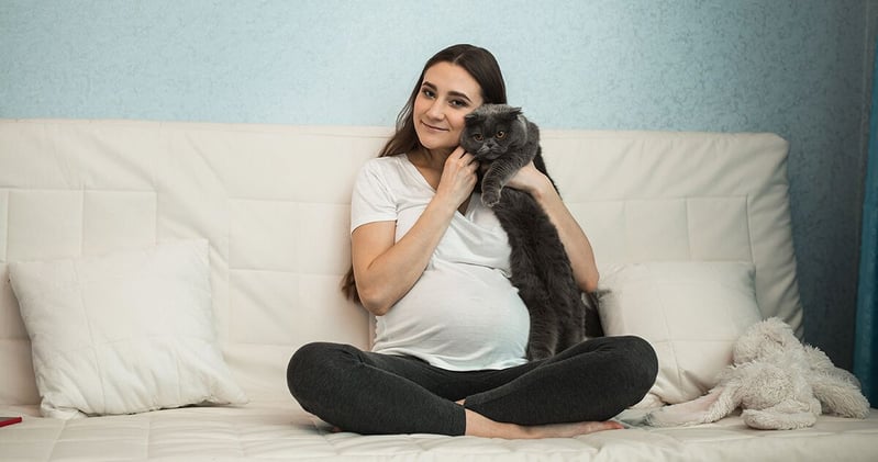 dimostrazione affetto gatto