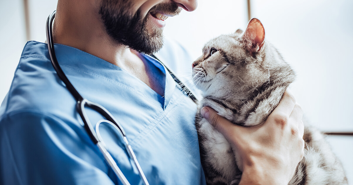 What Vaccinations Does Your Kitty Need, and When_1-1
