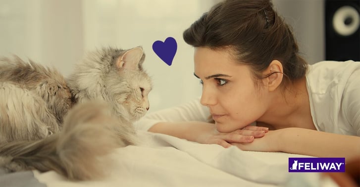 I motivi per cui amiamo i gatti