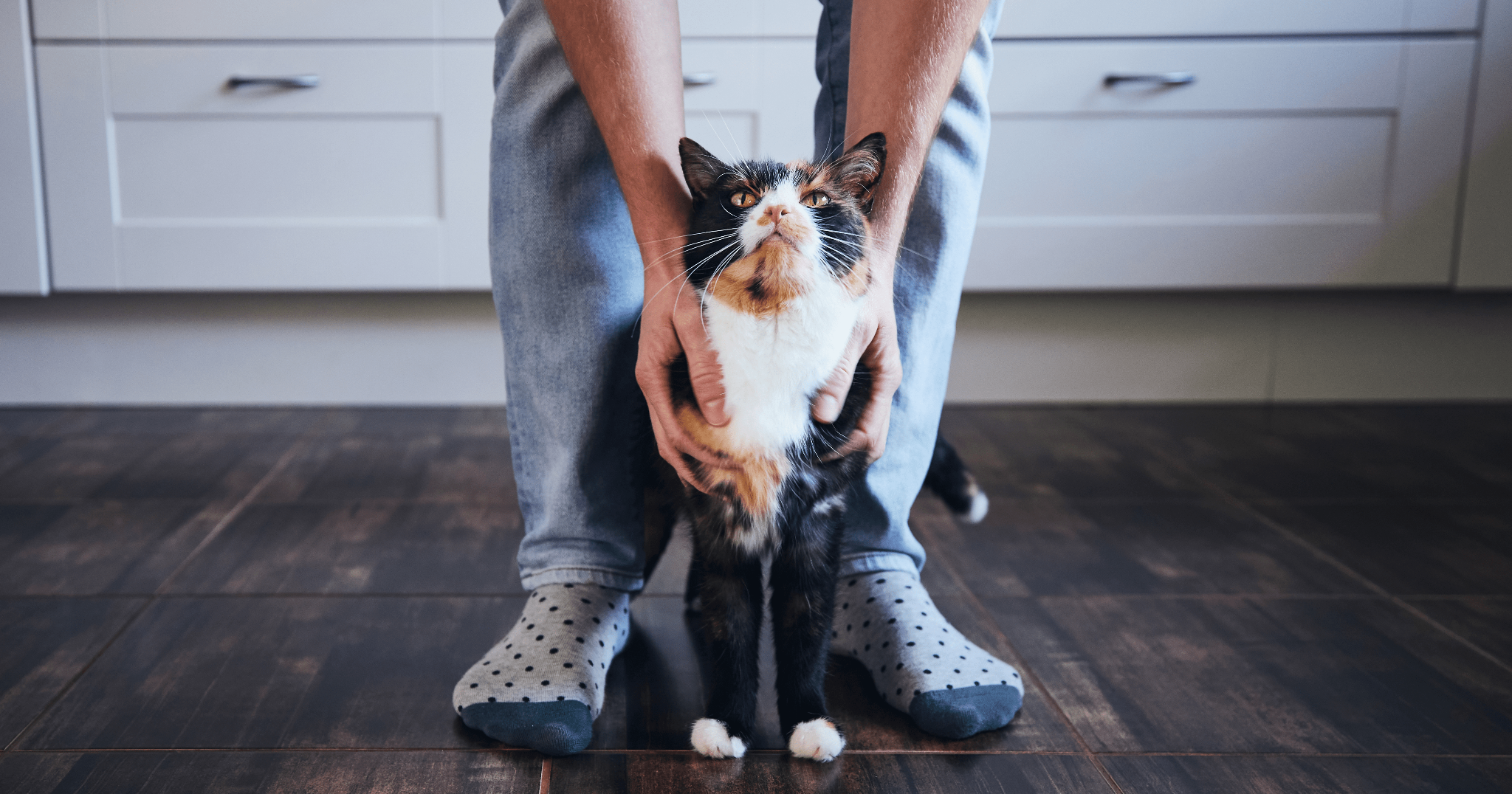 consigli per scegliere un cat sitter