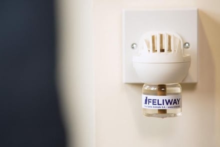 Le domande più frequenti su come usare Feliway diffusore