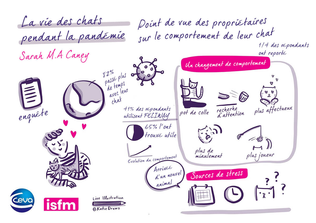 résultat de l'impact des confinements pendant la pandémie de covid 19 sur les chats