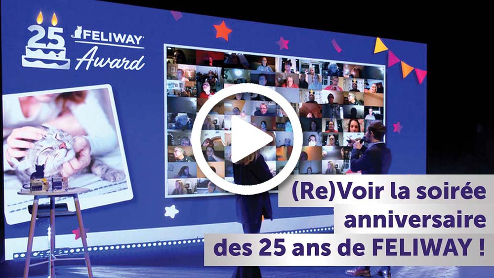 REPLAY FELIWAY 25 ans