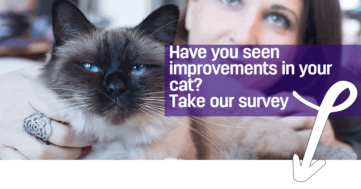 How much happier is your cat?