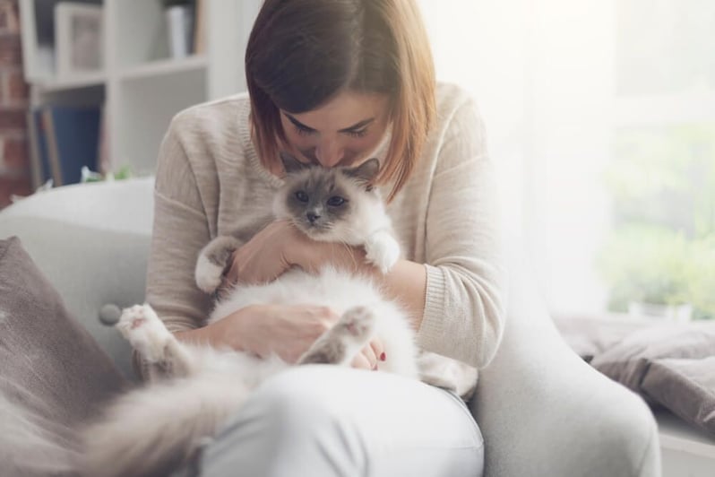 gatto e fusa