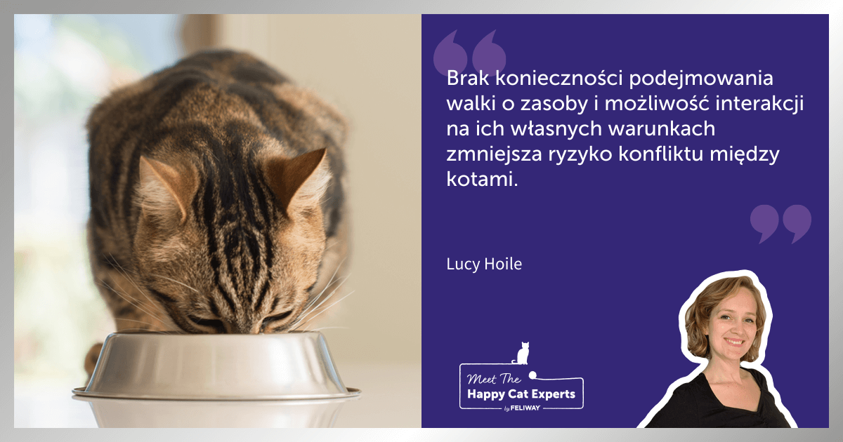 karmienie kotow Lucy Hoile (1)
