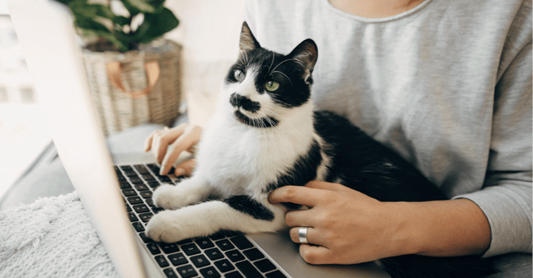 kat_computer