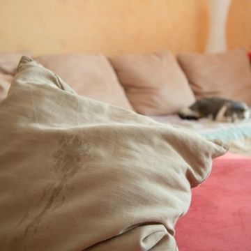marcaje con orina gato feliway