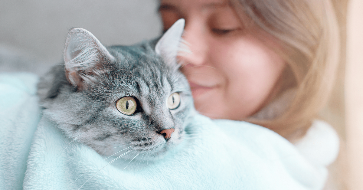 percezione sull’attaccamento del gatto-1