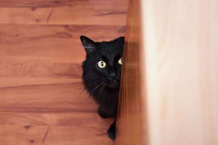 black cat hiding behind furniture