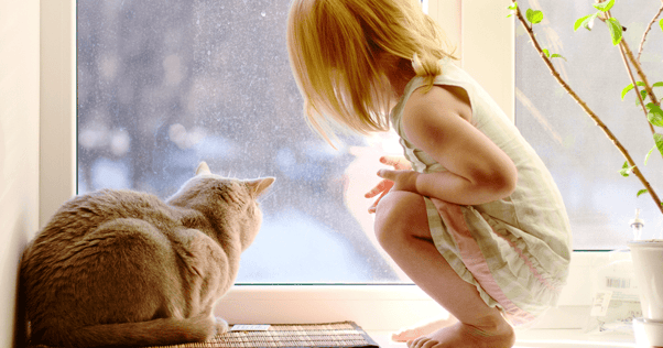 Little girl squatting beside cat looking out window
