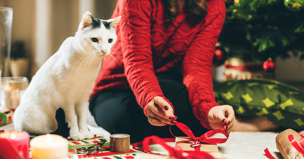 Cat sitting beside woman wrapping Christmas presents on the floor
