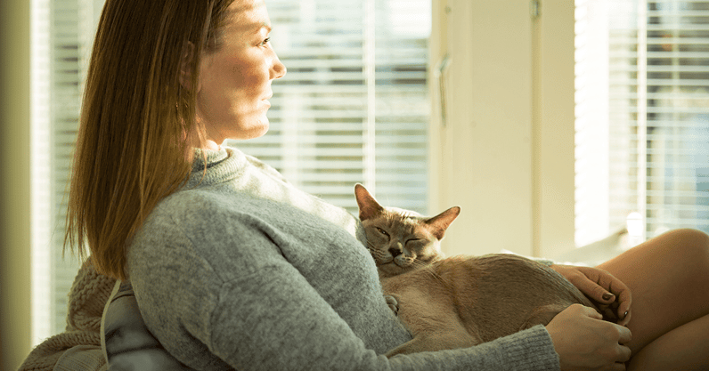 Tekenen van eenzaamheid en depressie bij katten