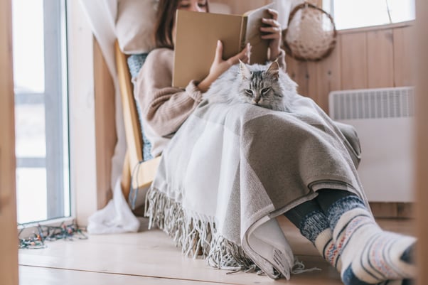 Fluffy grey cat sleeping on a girl’s lap as she reads a book.