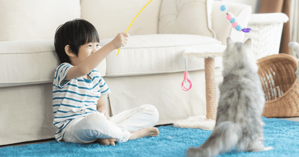 Young child playing with cat using a string toy