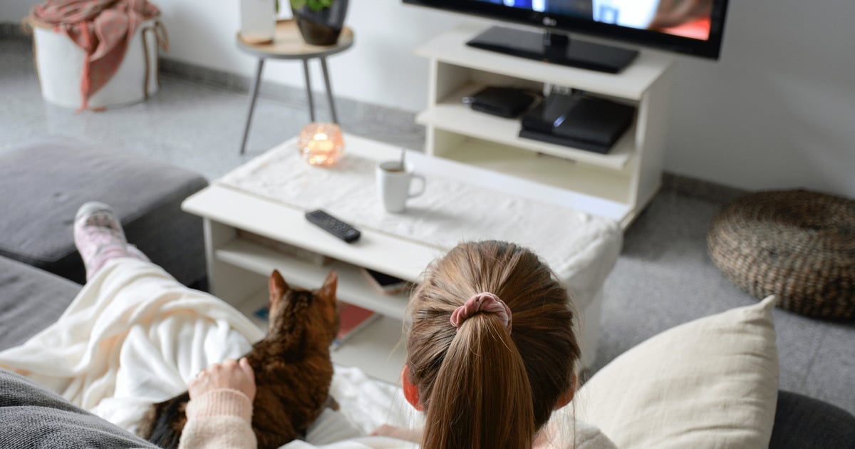 Katzenfilme