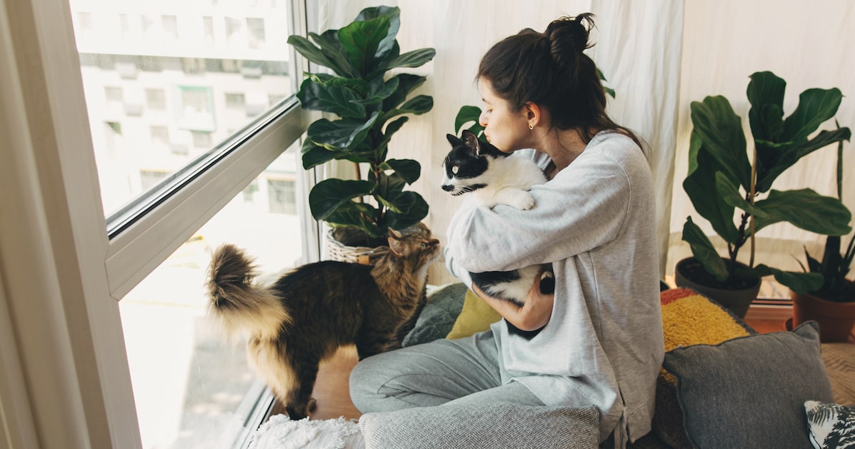 Frau kuschelt mit Katzen