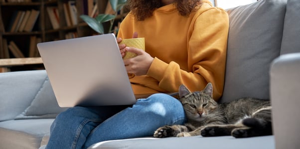 Grey cat nestled against a woman sitting on a sofa.