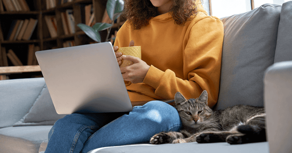 Cat curled up on couch beside woman working on a laptop