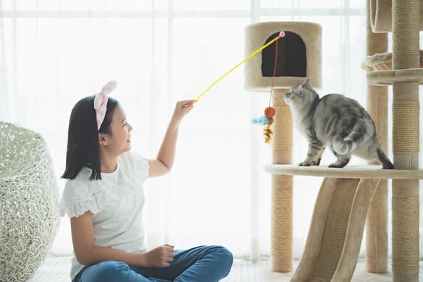 Cat on a cat tower playing with a fishing rod toy.