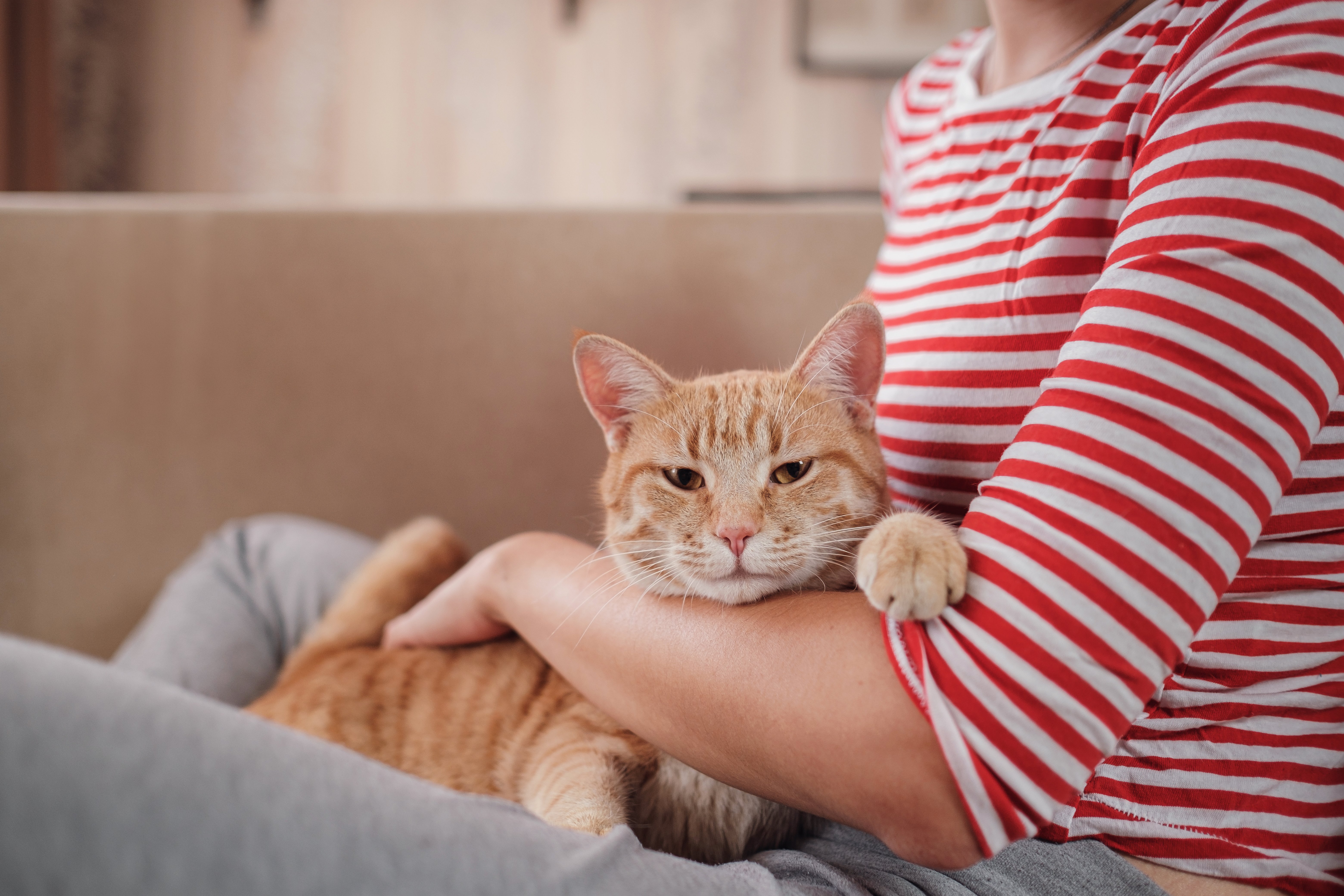 shutterstock_1919290244