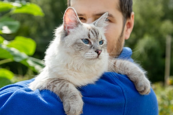 Man holding his light grey and white Siberian cat.