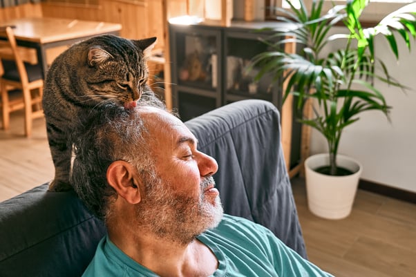 Cat licking their human’s head while he rests.