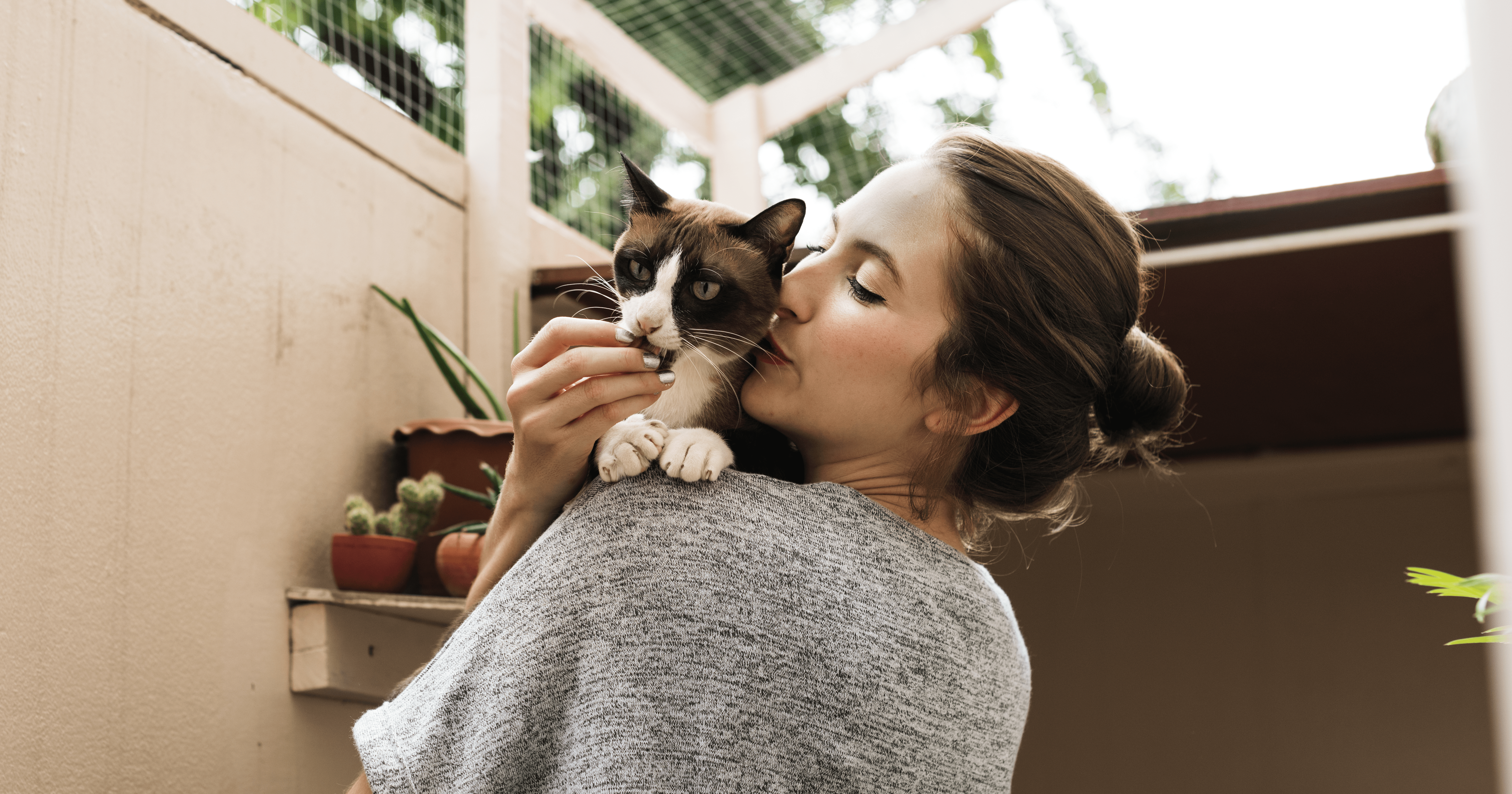 Katzensitter