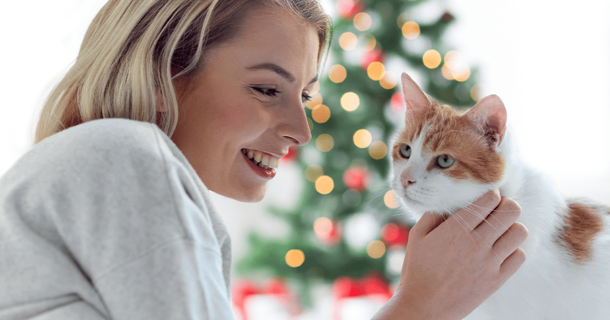 Happy young woman petting cat in front of Christmas tree
